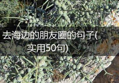 去海边的朋友圈的句子(实用50句)