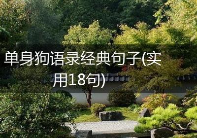 单身狗语录经典句子(实用18句)