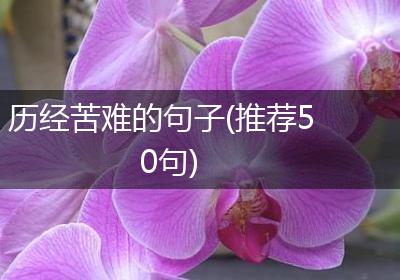 历经苦难的句子(推荐50句)