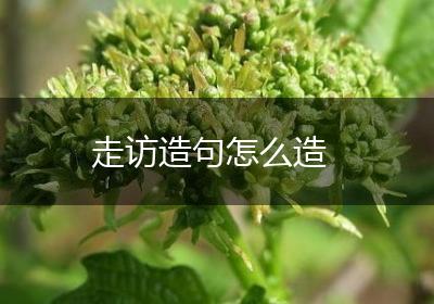 走访造句怎么造