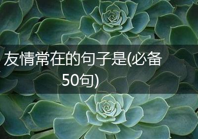 友情常在的句子是(必备50句)