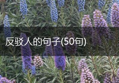 反驳人的句子(50句)
