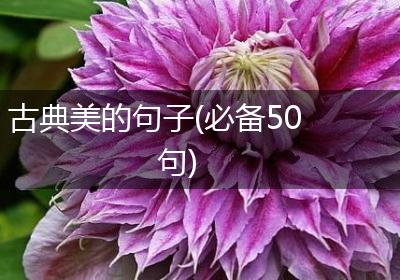 古典美的句子(必备50句)
