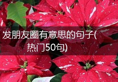 发朋友圈有意思的句子(热门50句)