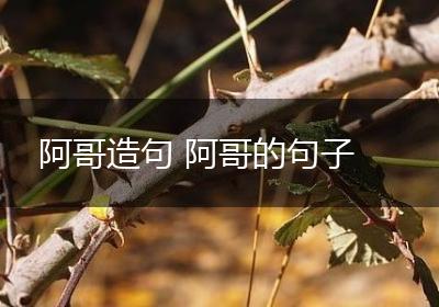 阿哥造句 阿哥的句子