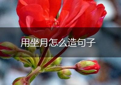 用坐月怎么造句子