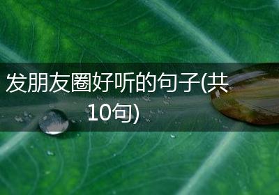 发朋友圈好听的句子(共10句)
