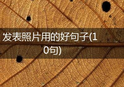 发表照片用的好句子(10句)