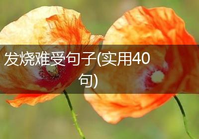 发烧难受句子(实用40句)
