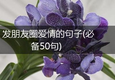 发朋友圈爱情的句子(必备50句)