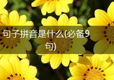 句子拼音是什么(必备9句)