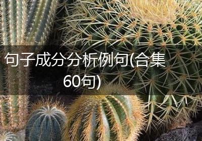 句子成分分析例句(合集60句)
