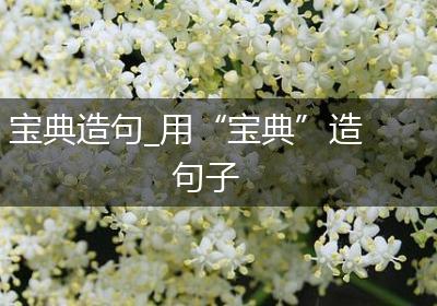 宝典造句_用“宝典”造句子