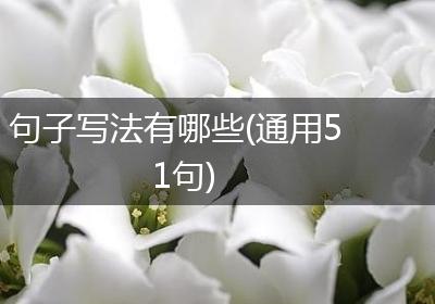 句子写法有哪些(通用51句)