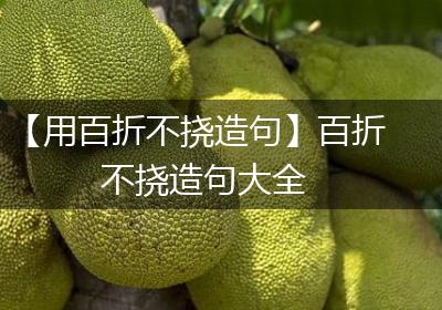 【用百折不挠造句】百折不挠造句大全