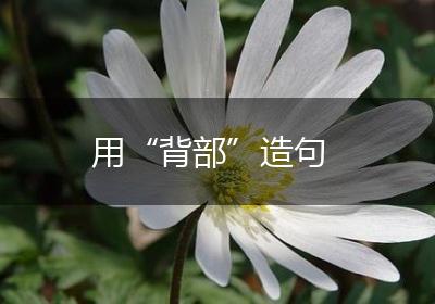 用“背部”造句