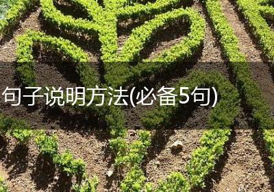 句子说明方法(必备5句)