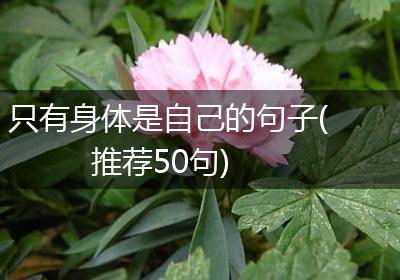 只有身体是自己的句子(推荐50句)
