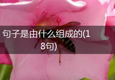 句子是由什么组成的(18句)