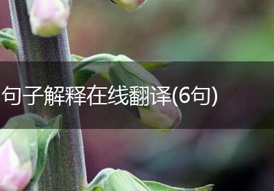 句子解释在线翻译(6句)