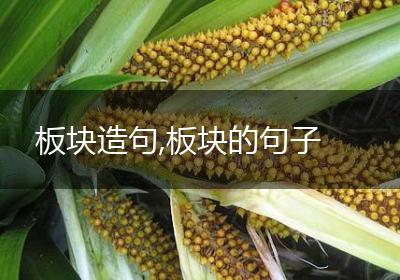 板块造句,板块的句子