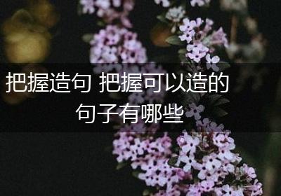 把握造句 把握可以造的句子有哪些