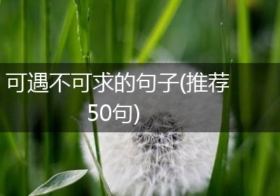 可遇不可求的句子(推荐50句)