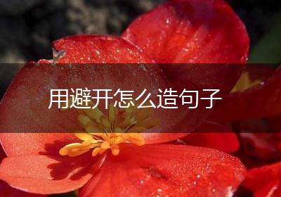 用避开怎么造句子