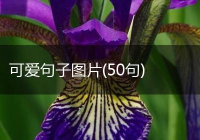 可爱句子图片(50句)