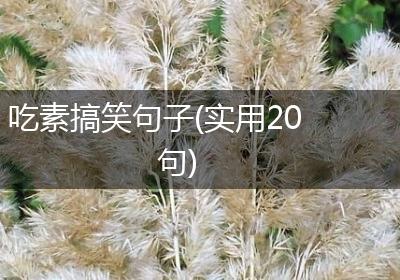 吃素搞笑句子(实用20句)
