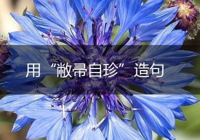 用“敝帚自珍”造句