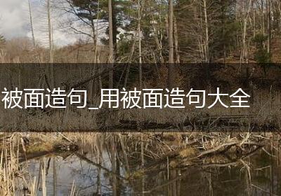被面造句_用被面造句大全