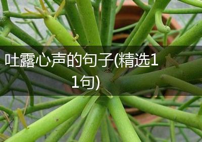 吐露心声的句子(精选11句)
