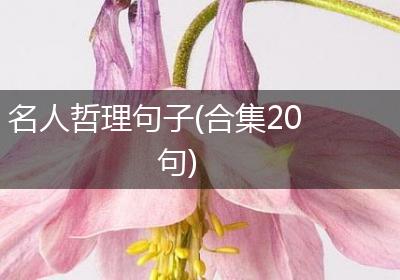 名人哲理句子(合集20句)