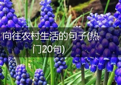 向往农村生活的句子(热门20句)