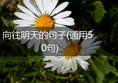 向往明天的句子(通用50句)