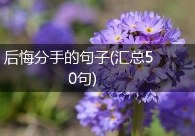 后悔分手的句子(汇总50句)