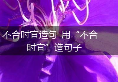 不合时宜造句_用“不合时宜”造句子