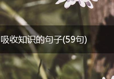 吸收知识的句子(59句)