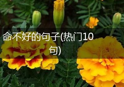 命不好的句子(热门10句)