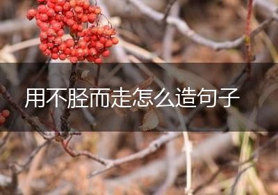 用不胫而走怎么造句子
