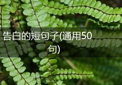 告白的短句子(通用50句)