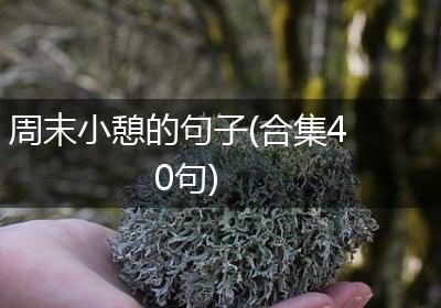 周末小憩的句子(合集40句)