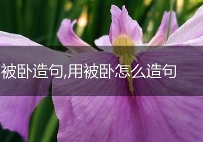 被卧造句,用被卧怎么造句
