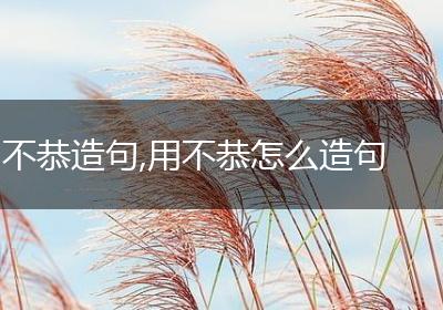 不恭造句,用不恭怎么造句