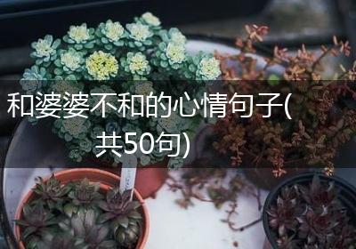 和婆婆不和的心情句子(共50句)