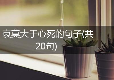 哀莫大于心死的句子(共20句)