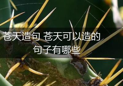 苍天造句 苍天可以造的句子有哪些