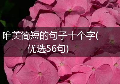 唯美简短的句子十个字(优选56句)