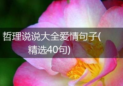 哲理说说大全爱情句子(精选40句)
